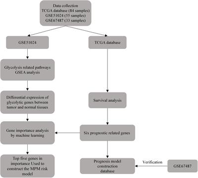 Identification of glycolysis genes signature for predicting prognosis in malignant pleural mesothelioma by bioinformatics and machine learning